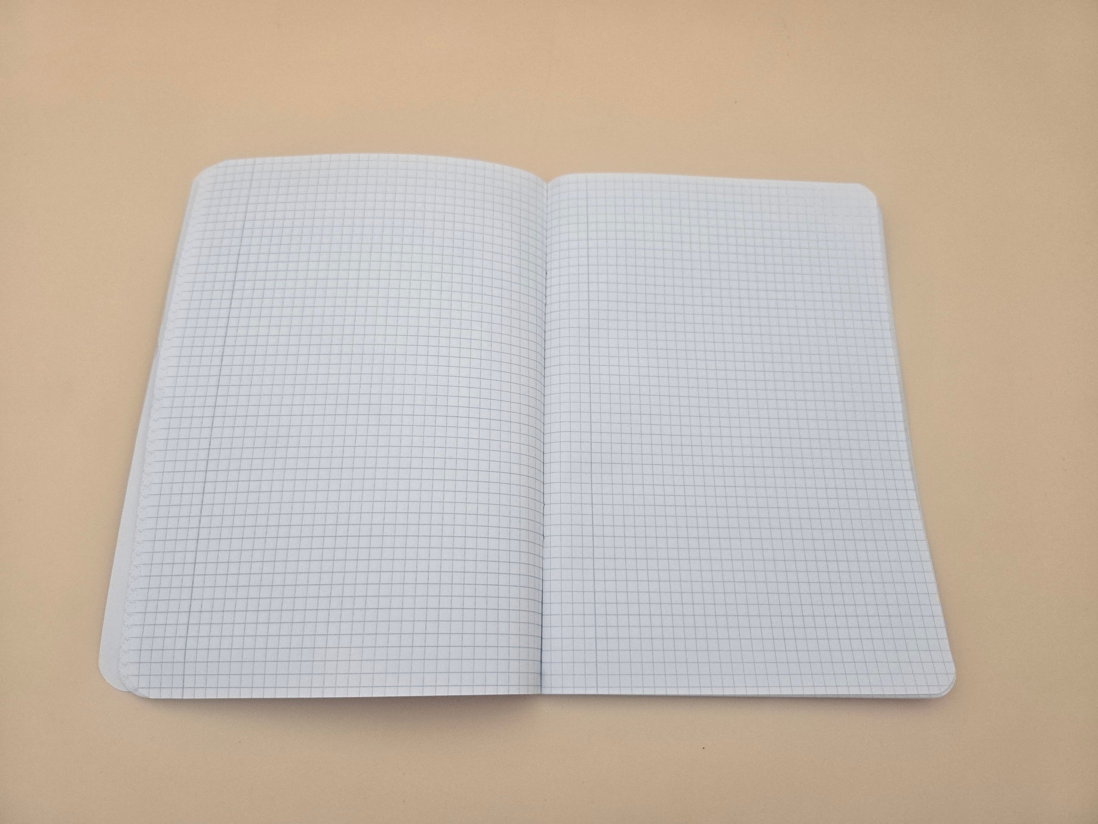 Cahier Petits Carreaux Escriboline – 90 Pages, Couverture Bleue & Rouge