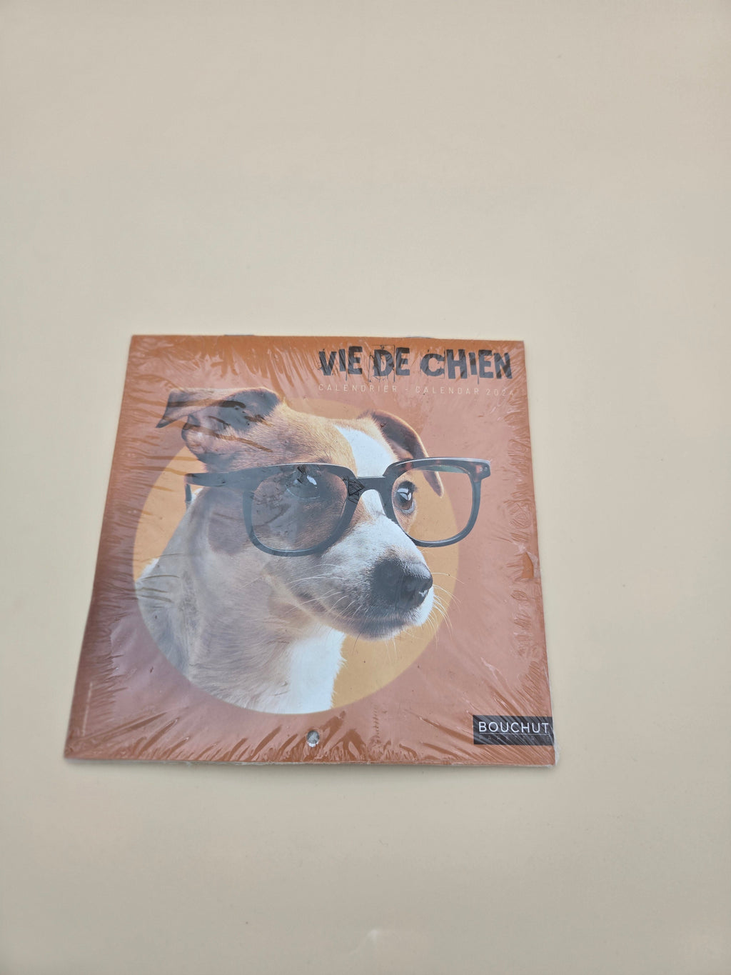 Calendrier "Vie de Chien" 2024-2025 – Photos Humoristiques de Chiens | Bouchut