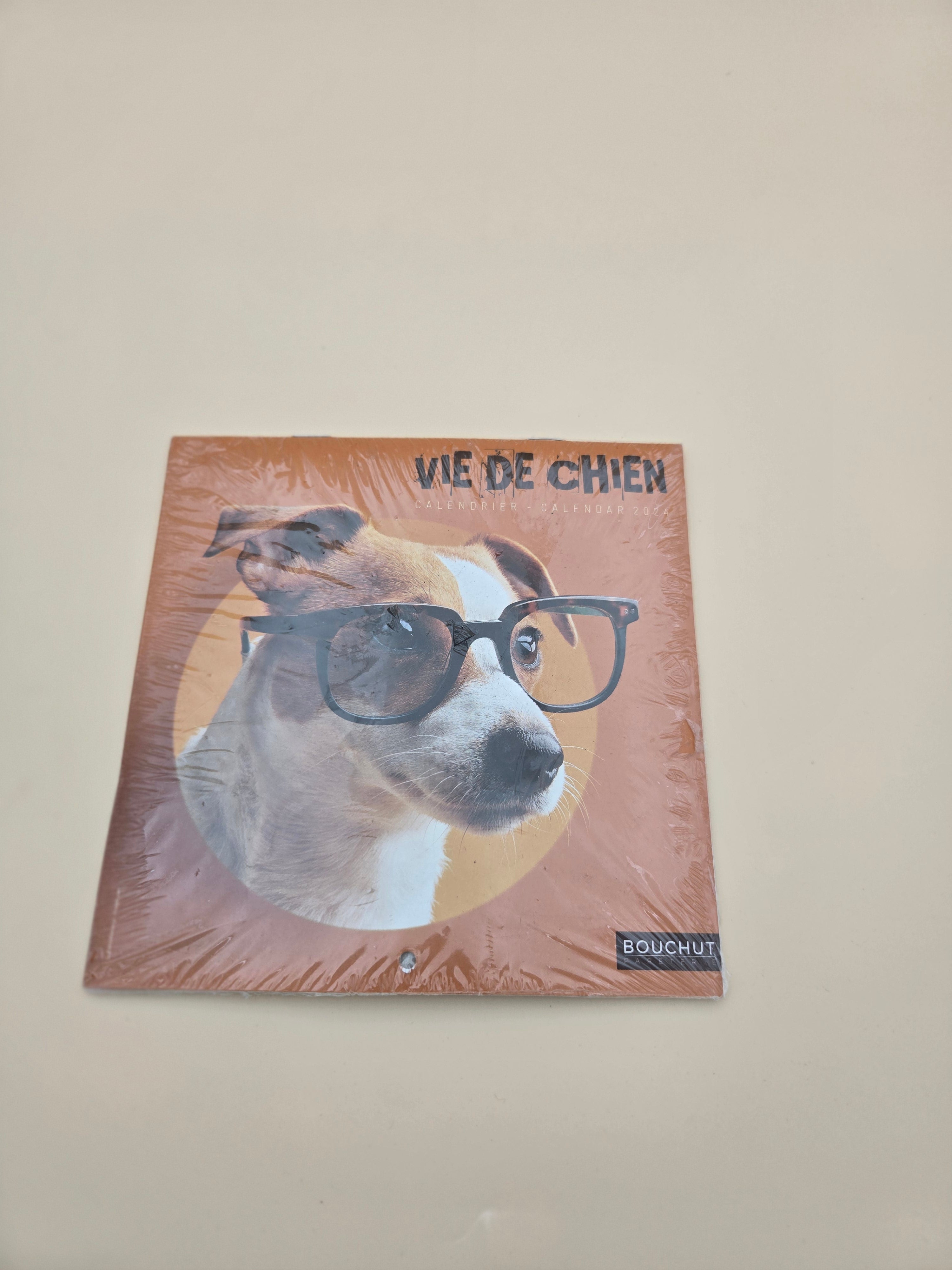 Calendrier "Vie de Chien" 2024-2025 – Photos Humoristiques de Chiens | Bouchut