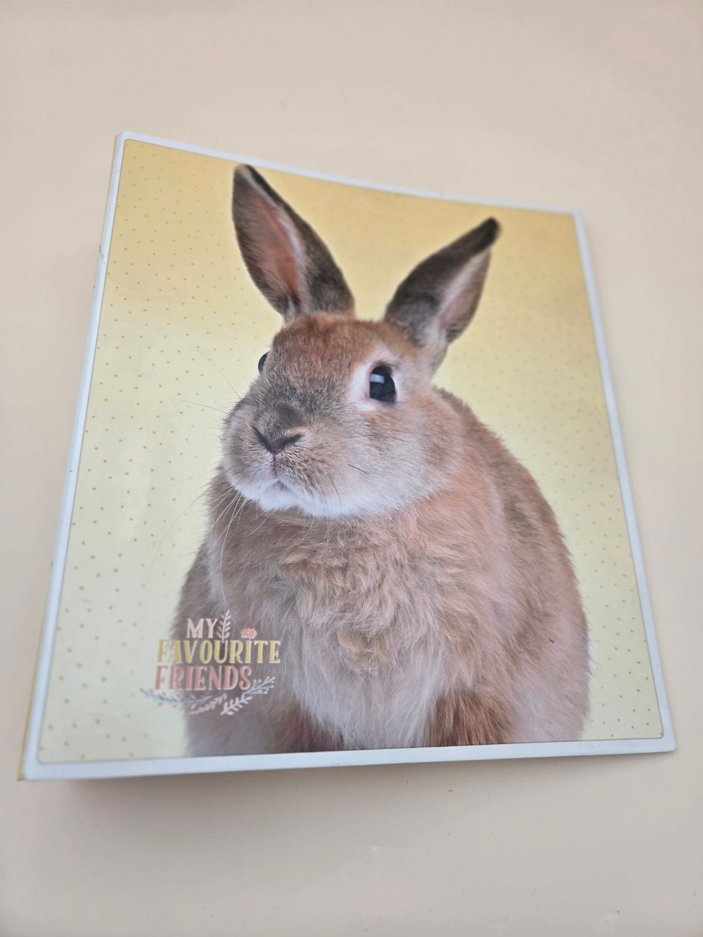 Classeur À Levier A4 "My Favourite Friends" – Motif Lapin, Fond Jaune à Pois