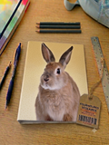 Classeur À Levier A4 "My Favourite Friends" – Motif Lapin, Fond Jaune à Pois
